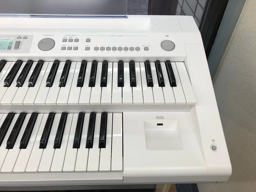 YAMAHA ELB-02 (New)