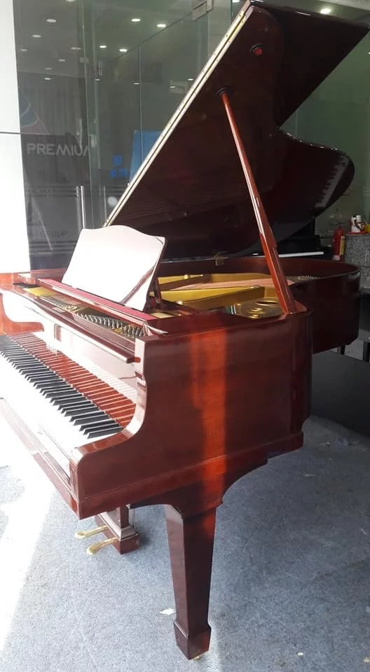 YAMAHA G2 Wn