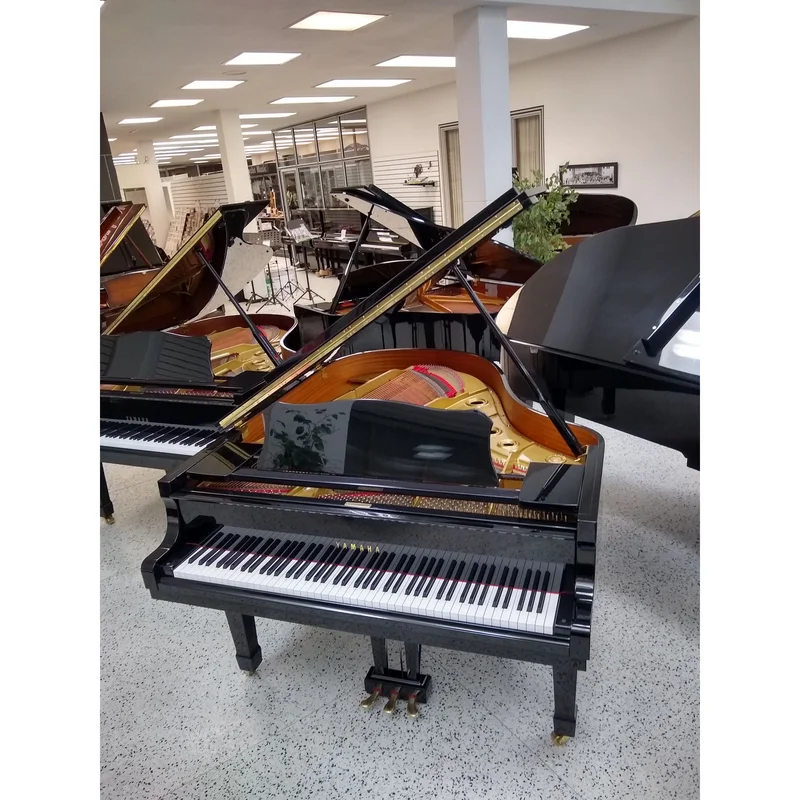 YAMAHA G3 Special