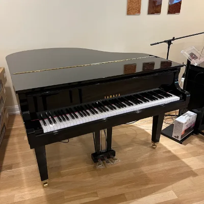 YAMAHA GB1K PM