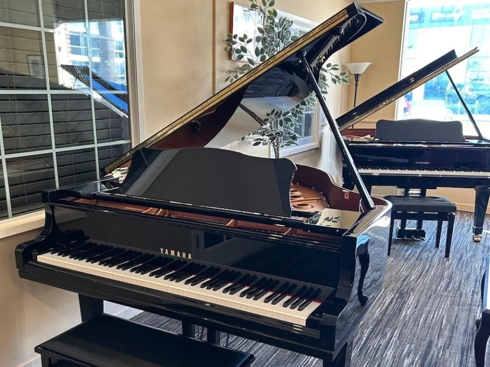 YAMAHA GC1 PE