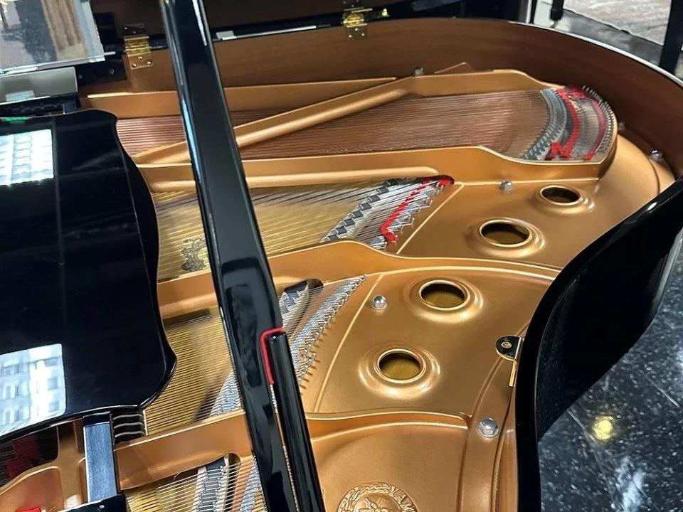 YAMAHA GC1 PE