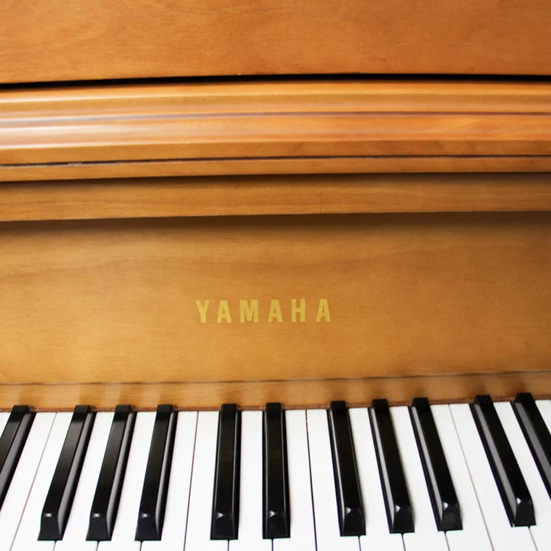 YAMAHA M2 SM