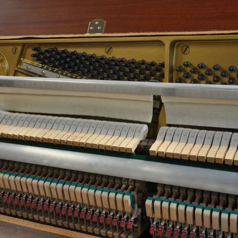 YAMAHA M5 SBW