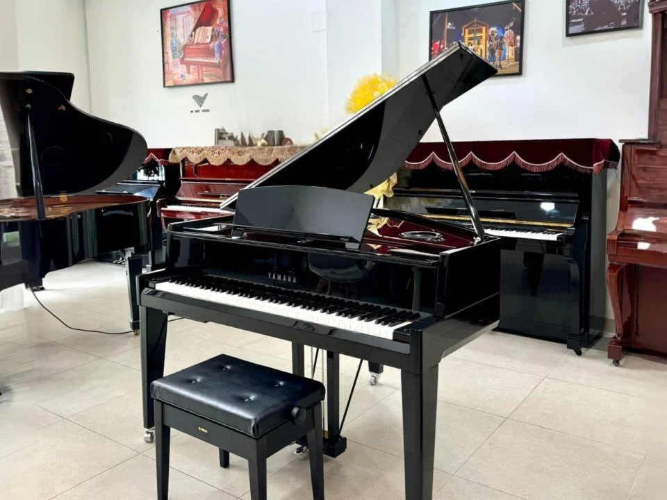 Review AVANT GRAND N3X (NEW) – Hình ảnh thực tế tại showroom Elite Piano