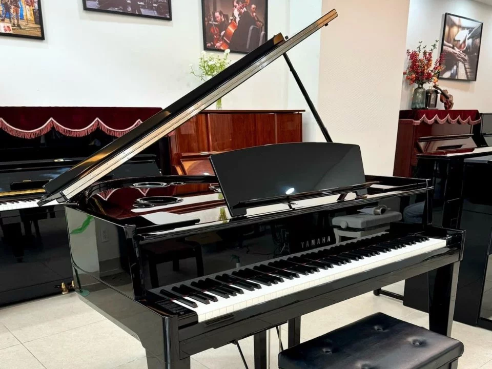 AVANT GRAND N3X (NEW)