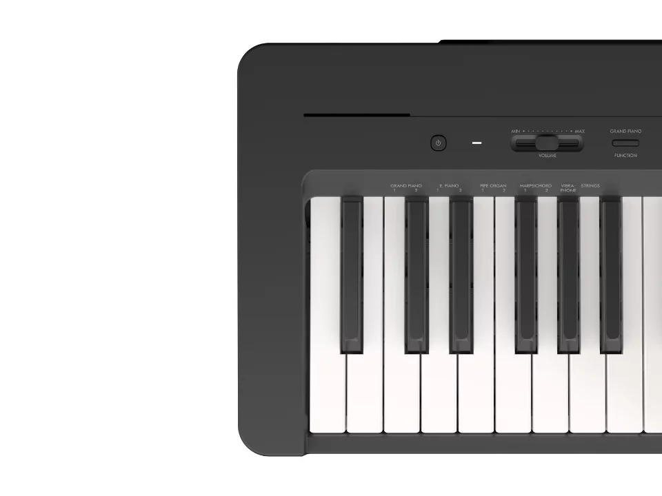 YAMAHA P-143WH