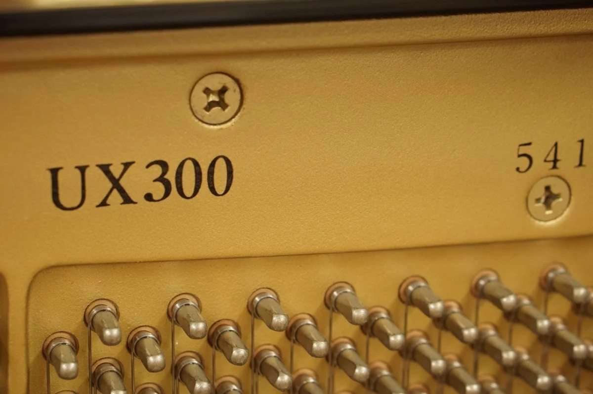 YAMAHA UX300