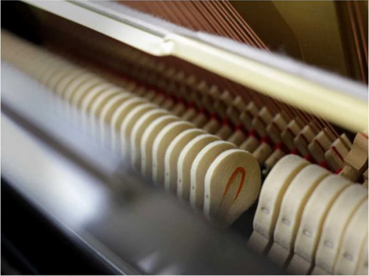Review YAMAHA W102BS – Hình ảnh thực tế tại showroom Elite Piano