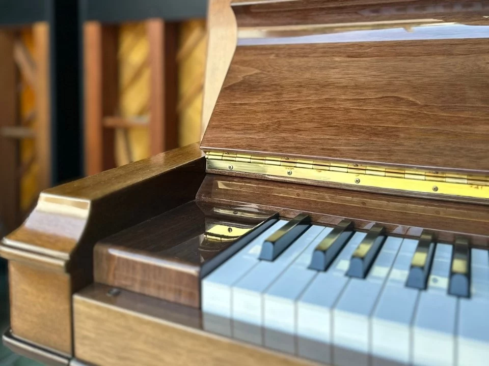YAMAHA W202 Wn