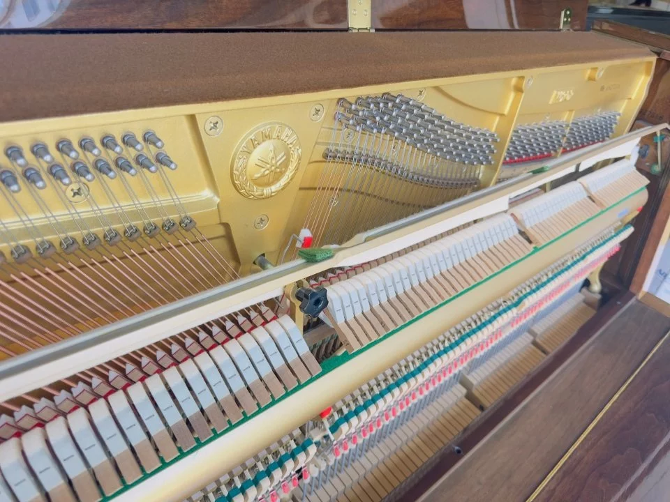 YAMAHA W202 Wn