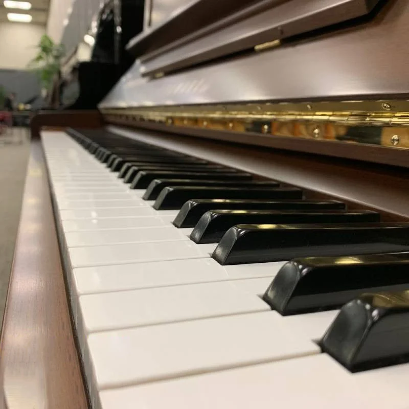 YAMAHA WX106W