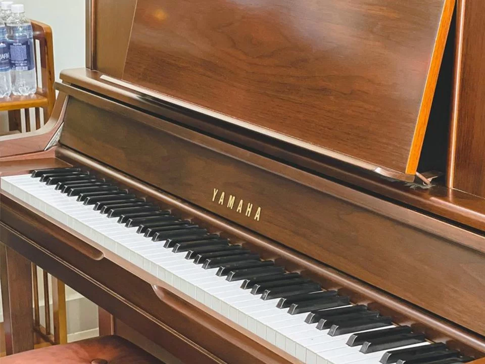 YAMAHA WX1A Wn