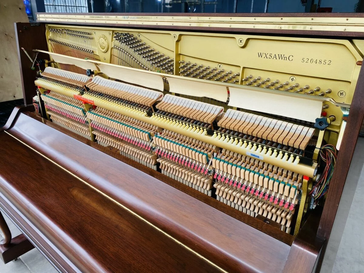 YAMAHA WX5A WnC