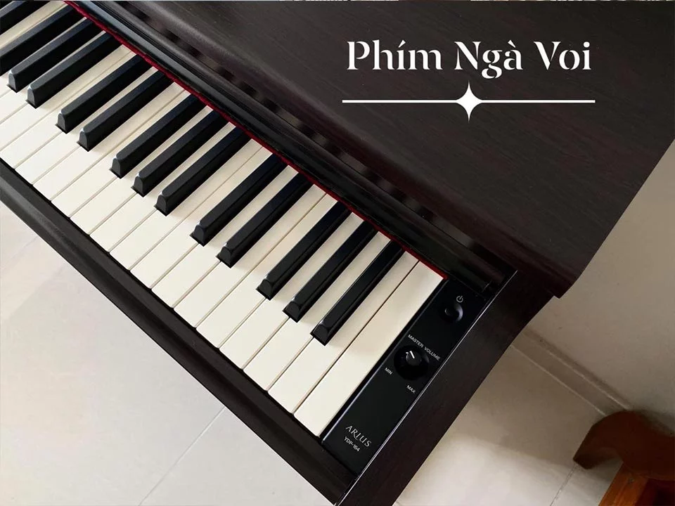 YAMAHA YDP-164 R – Mặt sau và hệ thống dây đàn Yamaha