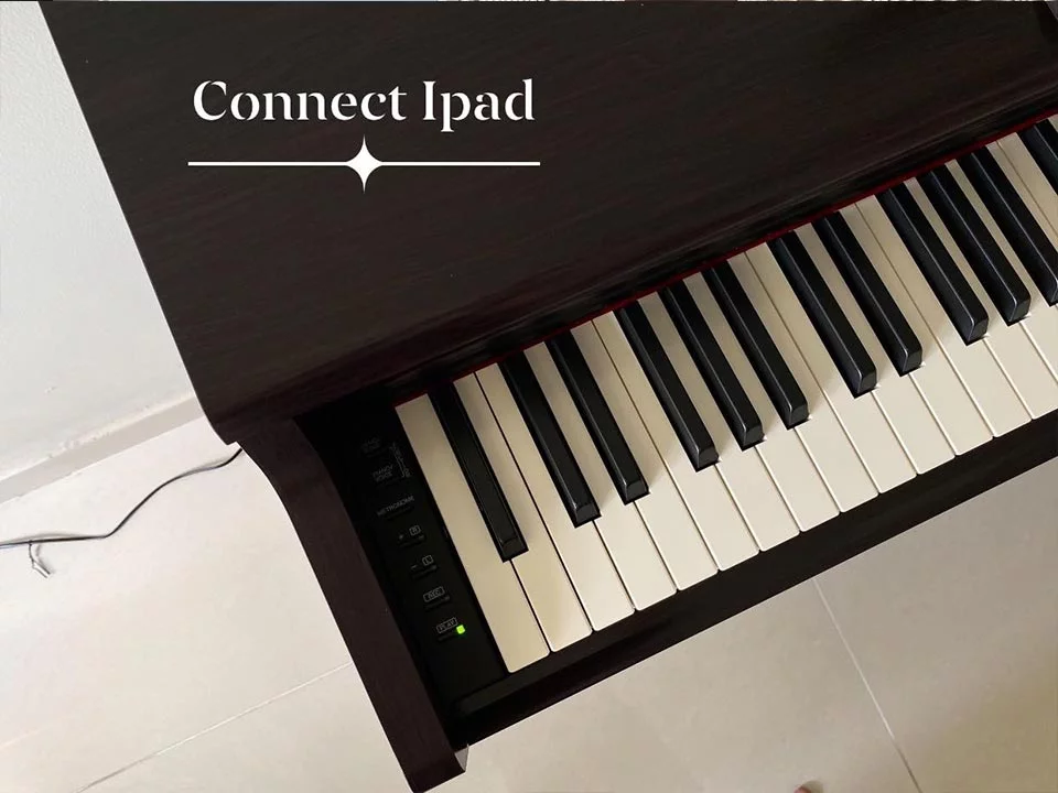 YAMAHA YDP-164 R tại Elite Piano TP.HCM – Không gian trưng bày