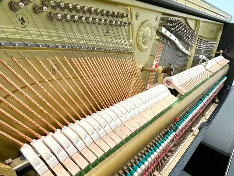 Review YAMAHA YS30 SB Silent – Hình ảnh thực tế tại showroom Elite Piano
