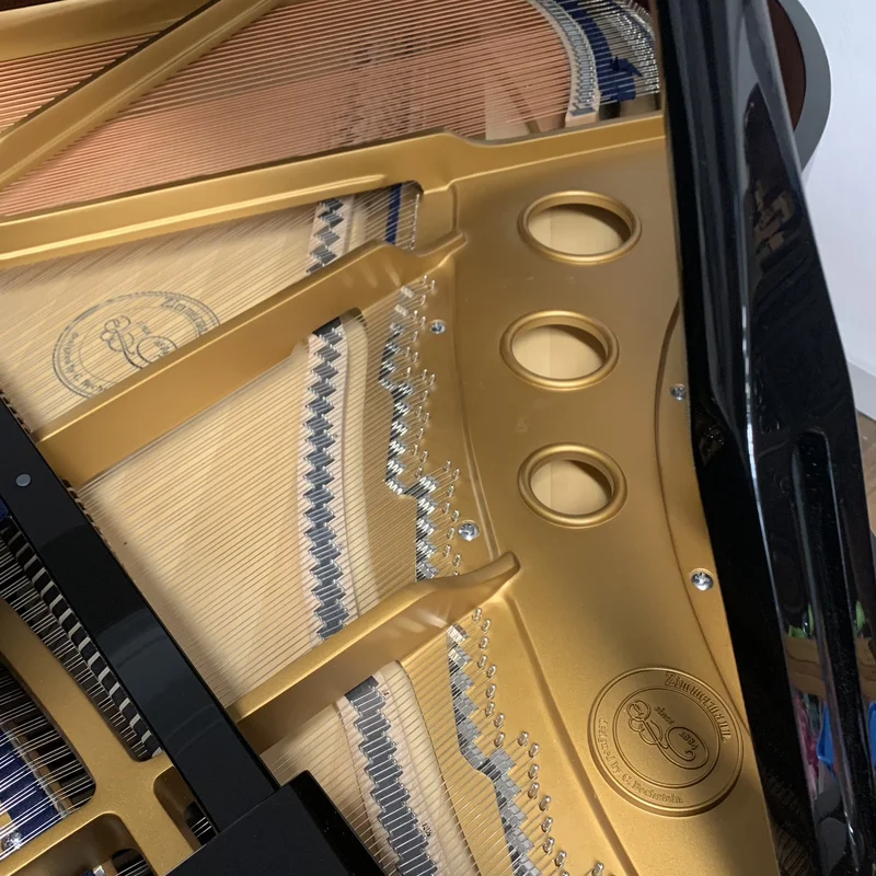 Review Zimmermann Studio S150 – Hình ảnh thực tế tại showroom Elite Piano